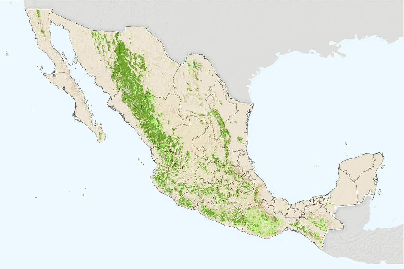 Mapa de bosques templados de México