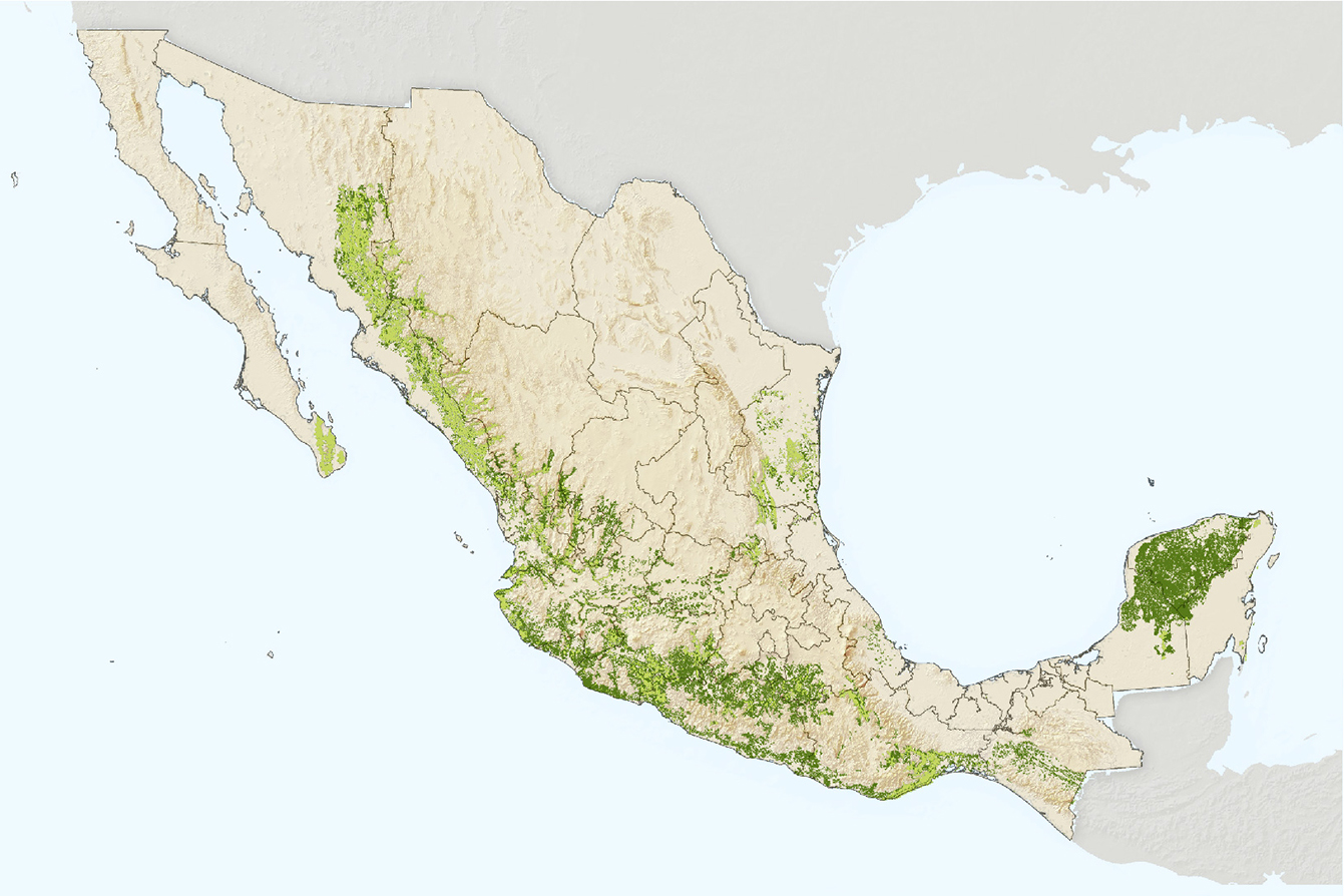 Mapa de selvas secas en México